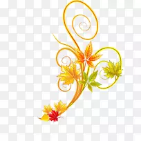 花卉设计植物花金植物-空若网 花卉设计植物花金植物-空若网