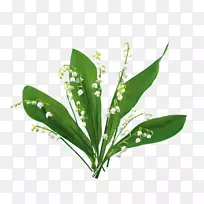 百合花博客剪贴画-百合花谷-空若网 百合花博客剪贴画-百合花谷-空若网