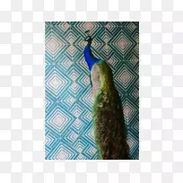 AdobeSequence Jbel Toubkal Popham设计设计-空若网 AdobeSequence Jbel Toubkal Popham设计设计-空若网