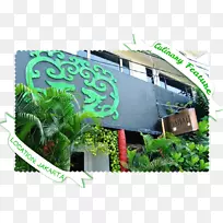 ��������ʥ�����������ʱ���������-����-������