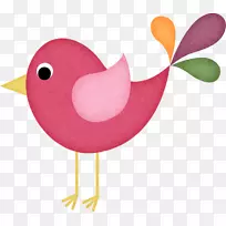 鸟爱鸡画夹艺术-鸟-空若网 鸟爱鸡画夹艺术-鸟-空若网