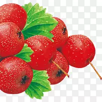 ��ݮӣ��֭-������