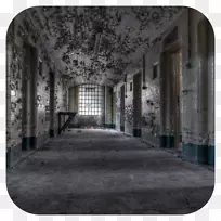 �������ݣ���׿�����ֽ���ֻ���������ʾ��-��������-������