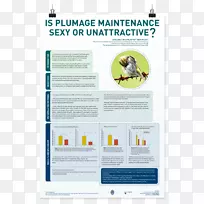 海报会议文字展示板-科学海报-空若网 海报会议文字展示板-科学海报-空若网