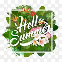 花卉设计封装后记-阿里花-空若网 花卉设计封装后记-阿里花-空若网