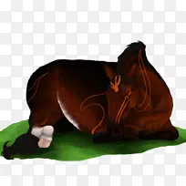 马鼻食肉-马-空若网 马鼻食肉-马-空若网