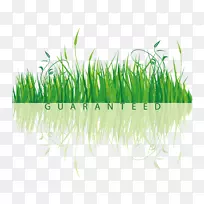 ������-��-������