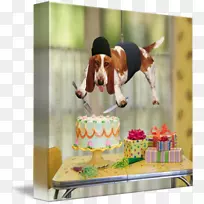 生日蛋糕祝你生日快乐祝你生日贺卡生日-空若网 生日蛋糕祝你生日快乐祝你生日贺卡生日-空若网