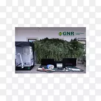 ���Զ�ý��Ʒ����ʾ�豸����-С��-������