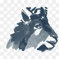 白色字体-凝胶狒狒-空若网 白色字体-凝胶狒狒-空若网