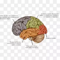 ������ϵͳ������ѧ-��-������