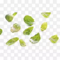 红白菜蔬菜-新鲜卷心菜-空若网 红白菜蔬菜-新鲜卷心菜-空若网