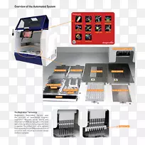 �칫��Ʒ����Ԫ�������-������