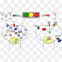 线路技术点线-空若网 线路技术点线-空若网
