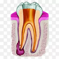 �������Ƹ�����������ѧ.����-������