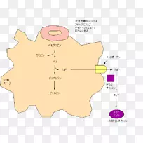 直线角动物线-空若网 直线角动物线-空若网