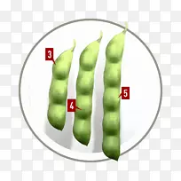 蔬菜商品-蔬菜-空若网 蔬菜商品-蔬菜-空若网