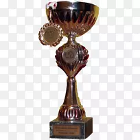 杰克罗素猎犬牧师罗素小狗澳大利亚小狗-小狗-空若网 杰克罗素猎犬牧师罗素小狗澳大利亚小狗-小狗-空若网