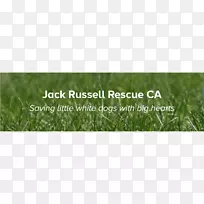 麦草地草场作物字形线-空若网 麦草地草场作物字形线-空若网