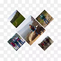 摄影纸摄影.Vaishno Devi-空若网 摄影纸摄影.Vaishno Devi-空若网