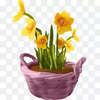 ����������Ĳ��ͼ�����-����-������