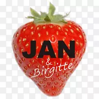 ��ݮ��ζB.V.ʳ���˷�����һ���ܺõ����ӡ�-��ݮ-������