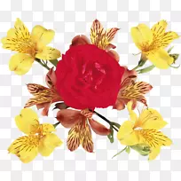 芦荟科切花花型花束-空若网 芦荟科切花花型花束-空若网