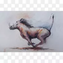 水彩画野马画-空若网 水彩画野马画-空若网