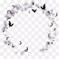 蝙蝠画传粉者万圣节昆虫蝙蝠-空若网 蝙蝠画传粉者万圣节昆虫蝙蝠-空若网