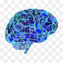 蓝脑计划神经元-人脑神经科学-脑-空若网 蓝脑计划神经元-人脑神经科学-脑-空若网