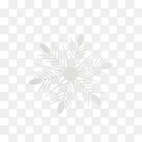 ��ɫ�Գ�ͼ��-ѩ��-������