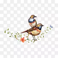 Ë®²Ê»Äñ.¿¨Í¨ÄñÕ¾Ê÷Ö¦»Ë®²Ê»»¨-¿ÕÈôÍø Ë®²Ê»Äñ.¿¨Í¨ÄñÕ¾Ê÷Ö¦»Ë®²Ê»»¨-¿ÕÈôÍø