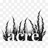 �����ֽͼ��-������