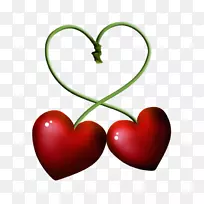 福克斯电视摄影电影-福克斯-空若网 福克斯电视摄影电影-福克斯-空若网