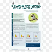 海报会话文字展示板-设计-空若网 海报会话文字展示板-设计-空若网