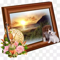 画框小提琴摄影剪贴画小提琴-空若网 画框小提琴摄影剪贴画小提琴-空若网