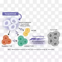 ��˹����Ī��֢��������ͼ�������＼��-������