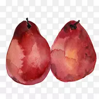 梨花水彩画无果手画烂梨拉料-空若网 梨花水彩画无果手画烂梨拉料-空若网