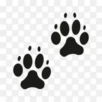 猫爪狗夹艺术-猫-空若网 猫爪狗夹艺术-猫-空若网