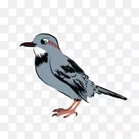 ��ද����ë-������