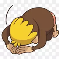 ����ֲ�������-����-������