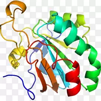 ƽ�������������-��-������