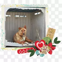 犬种鼻子相框-狗-空若网 犬种鼻子相框-狗-空若网