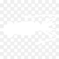 丛枝菌根螺旋角保护知识博客-空若网 丛枝菌根螺旋角保护知识博客-空若网