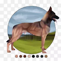 ���������Ĺ�����-����-������