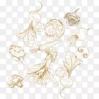 Êß²ËʳƷˮ¹ûÊ߲˹¤ÒÕÆ·-¿ÕÈôÍø Êß²ËʳƷˮ¹ûÊ߲˹¤ÒÕÆ·-¿ÕÈôÍø