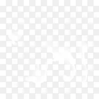 南悉尼兔-威林加海雕发电子邮件悉尼公鸡新西兰战士-电子邮件-空若网 南悉尼兔-威林加海雕发电子邮件悉尼公鸡新西兰战士-电子邮件-空若网