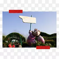 ����������������-������