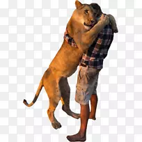 犬种Makhachkala雄狮-空若网 犬种Makhachkala雄狮-空若网