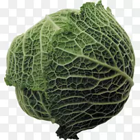 ɳ�߸������߲�-������